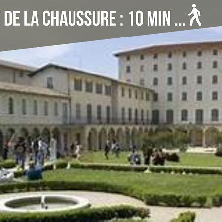 Le Bouquiniste, Centre Historique, Fibre, Ess, Rez-De-Chaussee, Bedinshop Romans-sur-Isere Exterior photo