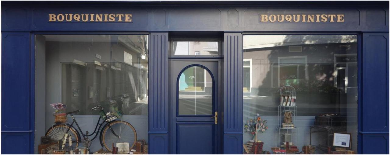 Le Bouquiniste, Centre Historique, Fibre, Ess, Rez-De-Chaussee, Bedinshop Romans-sur-Isere Exterior photo