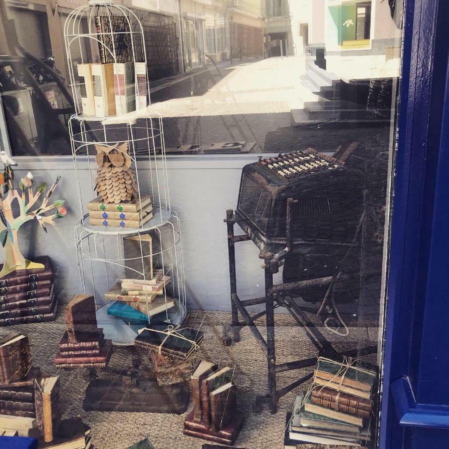 Le Bouquiniste, Centre Historique, Fibre, Ess, Rez-De-Chaussee, Bedinshop Romans-sur-Isere Exterior photo